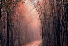 英超：12分钟 “戴帽”救主 曼联小将阿玛.