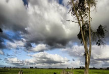 雷火电竞官网：中超-武磊帽子戏法 海港3-1大胜浙江豪取10连胜.